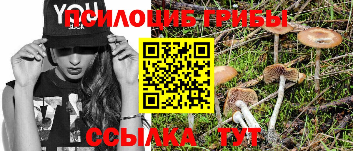 Галлюциногенные грибы Psilocybe Урус-Мартан
