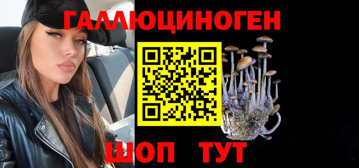 Псилоцибиновые грибы Psilocybine cubensis  Вход с VPN  Урус-Мартан 