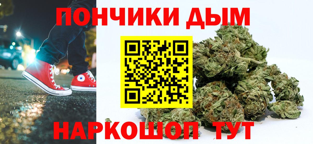 Конопля SATIVA & INDICA  Каннабис гибрид  Вход с VPN  Конопля Bruce Banner  Урус-Мартан  Каннабис конопля 
